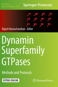 Dynamin Superfamily GTPases