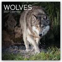 Wolves – Wölfe 2027 – 16-Monatskalender
