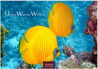 Unterwasserwelten Kalender 2027 – Wandkalender | Fotokalender Naturkalender 35x50cm Großformat – Atemberaubende Meereslandschaften & Korallenriffe.