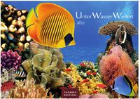 Unterwasserwelten Kalender 2027 – Wandkalender | Fotokalender Naturkalender 24x35cm – Atemberaubende Meereslandschaften & Korallenriffe.