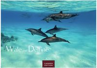 Wale und Delfine Kalender 2027 – Wandkalender | Fotokalender Tierkalender 24x35cm - Hochwertige Fotografien von Walen und Delfinen, die jeden Monat begeistern.