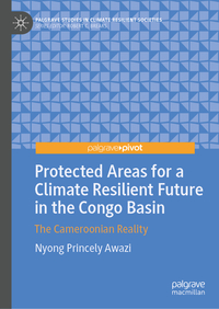 The Nexus Between Livelihood Capital and Resilience in Africa