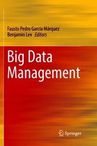 Big Data Management