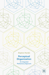 Perceptual Organization