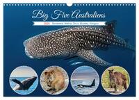 Big Five Australiens Buckelwal, Walhai, Orca, Quokka,Känguru (Wandkalender 2025 DIN A3 quer), CALVENDO Monatskalender