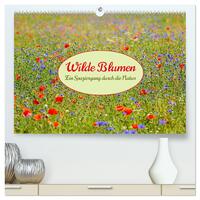 Wilde Blumen - ein Spaziergang durch die Natur (hochwertiger Premium Wandkalender 2025 DIN A2 quer), Kunstdruck in Hochglanz