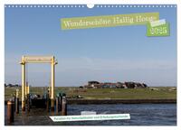 Wunderschöne Hallig Hooge (Wandkalender 2025 DIN A3 quer), CALVENDO Monatskalender
