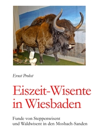 Eiszeit-Wisente in Wiesbaden
