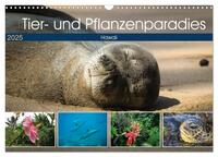 Tier- und Pflanzenparadies Hawaii (Wandkalender 2025 DIN A3 quer), CALVENDO Monatskalender