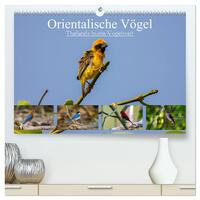 Orientalische Vögel - Thailands bunte Vogelwelt (hochwertiger Premium Wandkalender 2025 DIN A2 quer), Kunstdruck in Hochglanz
