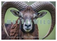 Emotionale Momente: Muffelwild. (Wandkalender 2025 DIN A2 quer), CALVENDO Monatskalender