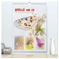 APOLLO UND CO (hochwertiger Premium Wandkalender 2025 DIN A2 hoch), Kunstdruck in Hochglanz