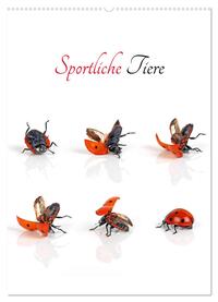 Sportliche Tiere (Wandkalender 2025 DIN A2 hoch), CALVENDO Monatskalender