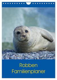 Robben Familienplaner (Wandkalender 2025 DIN A4 hoch), CALVENDO Monatskalender