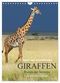 Magie des Augenblicks - Giraffen - Riesen der Savanne (Wandkalender 2025 DIN A4 hoch), CALVENDO Monatskalender