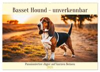 Basset Hound - unverkennbar (Wandkalender 2025 DIN A2 quer), CALVENDO Monatskalender