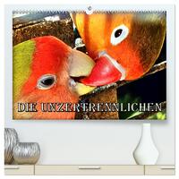Die Unzertrennlichen (hochwertiger Premium Wandkalender 2025 DIN A2 quer), Kunstdruck in Hochglanz
