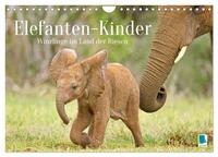Elefantenkinder: Winzlinge im Land der Riesen (Wandkalender 2026 DIN A4 quer), CALVENDO Monatskalender