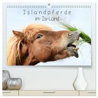Islandpferde im Isi-Land (hochwertiger Premium Wandkalender 2026 DIN A2 quer), Kunstdruck in Hochglanz