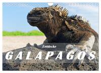 Entdecke Galapagos (Wandkalender 2026 DIN A4 quer), CALVENDO Monatskalender