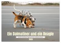 Ein Dalmatiner und ein Beagle - Auf der maritimen Jagd nach dem weltbesten Stock (Wandkalender 2026 DIN A4 quer), CALVENDO Monatskalender