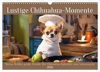 Lustige Chihuahua-Momente (Wandkalender 2026 DIN A3 quer), CALVENDO Monatskalender