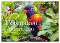 Faszination Australien - Welt der Vögel (Tischkalender 2026 DIN A5 quer), CALVENDO Monatskalender
