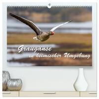 Graugänse in heimischer Umgebung (hochwertiger Premium Wandkalender 2026 DIN A2 quer), Kunstdruck in Hochglanz