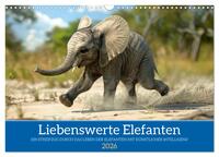 Liebenswerte Elefanten (Wandkalender 2026 DIN A3 quer), CALVENDO Monatskalender