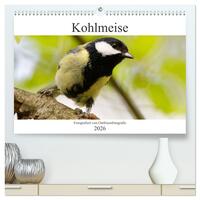 Kohlmeise - Fotografiert von Ostfriesenfotografie (hochwertiger Premium Wandkalender 2026 DIN A2 quer), Kunstdruck in Hochglanz