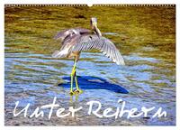 Unter Reihern (Wandkalender 2026 DIN A2 quer), CALVENDO Monatskalender