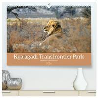 Kgalagadi - Fauna und Wildtiere in der Kalahari (hochwertiger Premium Wandkalender 2026 DIN A2 quer), Kunstdruck in Hochglanz