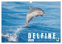 Delfine: Elegante Wellenreiter (Wandkalender 2026 DIN A3 quer), CALVENDO Monatskalender