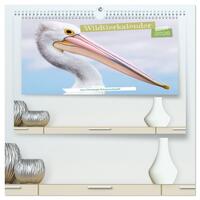 Wildtierkalender (hochwertiger Premium Wandkalender 2026 DIN A2 quer), Kunstdruck in Hochglanz