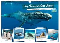 Big Five aus dem Ozean Hai, Delphin, Wal, Robbe, Pinguin (Wandkalender 2026 DIN A3 quer), CALVENDO Monatskalender