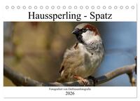 Haussperling - Spatz fotografiert von Ostfriesenfotografie (Tischkalender 2026 DIN A5 quer), CALVENDO Monatskalender