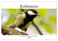 Kohlmeise - Fotografiert von Ostfriesenfotografie (Wandkalender 2026 DIN A2 quer), CALVENDO Monatskalender