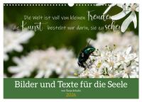 Bilder und Texte für die Seele (Wandkalender 2026 DIN A3 quer), CALVENDO Monatskalender