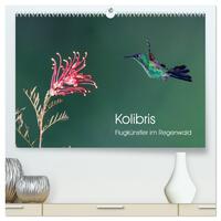 Kolibris - Flugkünstler im Regenwald (hochwertiger Premium Wandkalender 2026 DIN A2 quer), Kunstdruck in Hochglanz