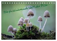 Die faszinierende Welt der Pilze (Tischkalender 2026 DIN A5 quer), CALVENDO Monatskalender