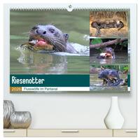 Riesenotter - Flusswölfe im Pantanal (hochwertiger Premium Wandkalender 2026 DIN A2 quer), Kunstdruck in Hochglanz