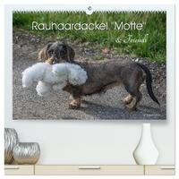 Rauhaardackel Motte & Friends (hochwertiger Premium Wandkalender 2026 DIN A2 quer), Kunstdruck in Hochglanz