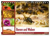 Bienen und Waben (Tischkalender 2026 DIN A5 quer), CALVENDO Monatskalender