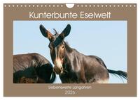 Kunterbunte Eselwelt - Liebenswerte Langohren (Wandkalender 2026 DIN A4 quer), CALVENDO Monatskalender
