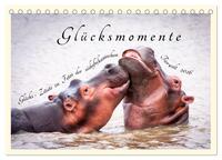 Glücksmomente Glücks-Zitate zu Fotos der großartigen südafrikanischen Tierwelt (Tischkalender 2026 DIN A5 quer), CALVENDO Monatskalender