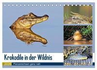 Krokodile in der Wildnis (Tischkalender 2026 DIN A5 quer), CALVENDO Monatskalender