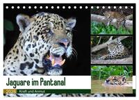 Jaguare im Pantanal (Tischkalender 2026 DIN A5 quer), CALVENDO Monatskalender