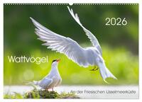 Wattvögel an der Friesischen IJsselmeerküste (Wandkalender 2026 DIN A2 quer), CALVENDO Monatskalender