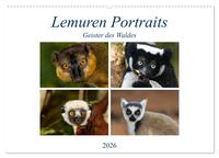 Lemuren Portraits (Wandkalender 2026 DIN A2 quer), CALVENDO Monatskalender