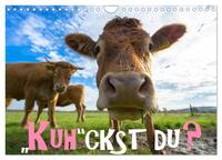 Kuhckst du? (Wandkalender 2026 DIN A4 quer), CALVENDO Monatskalender